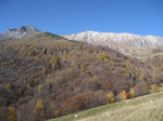 M334 (290868 byte) - Autunno al Pialeral, sullo sfondo la Grigna