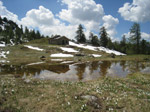 M342 (310332 byte) - Alpe le Zocche and some crocus reflected in a puddle (2068mt)