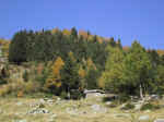 M62 (198884 byte) - Autumn in Val Gerola (Italy)