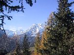 M75 (216468 byte) - Autunno salendo al Pal