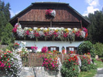 M85 (315650 byte) - Casa fiorita in Val Pusteria