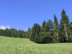 M86 (210808 byte) - Panorama al Passo Furcha