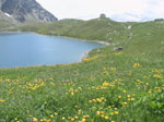 M92 (294909 byte) - Bertacchi hut and lake Emet