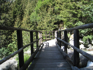 Ponte sul Torrente Zocca