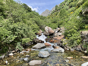 Il torrente