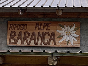 Insegna