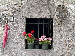 Particolare