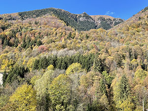 Autunno