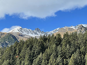 Panorama usciti dal bosco