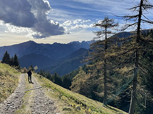 Lungo la strada
