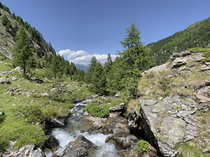 Accanto al torrente