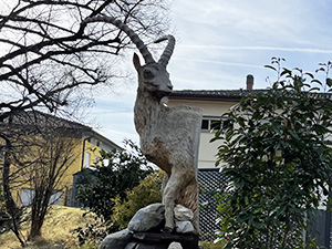 Scultura in legno raffigurante uno stambecco