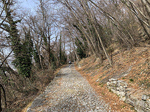 Tratto di strada acciottolato