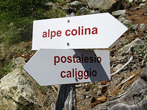 Uno dei segnavia lungo il cammino