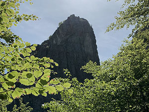 Spunta una cima dal bosco