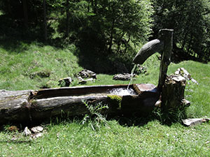 La fontana