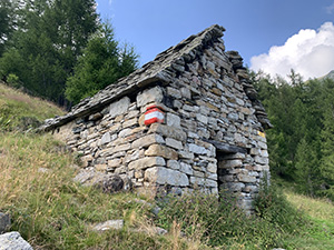 Oriaccia