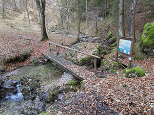 Ponticello sul Torrente Elio