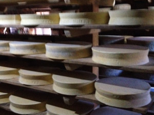 La stagionatura del Bitto accanto al rifugio