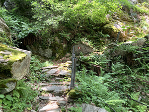 Sulla mulattiera