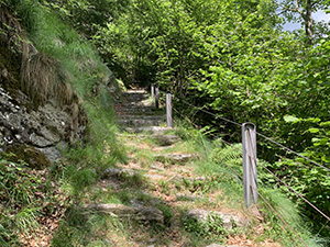 Sulla mulattiera