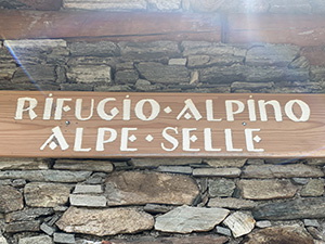 Insegna