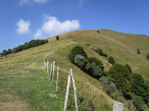 La dorsale in discesa