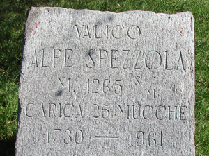 Valico Alpe Spezzola. Carica 25 mucche. 1730-1961