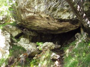 Sorgente