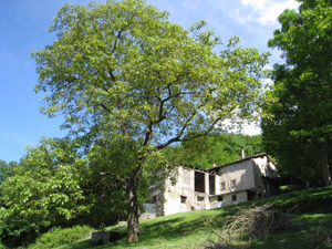 La Cascina Ranco