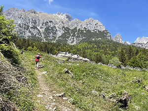 Usciamo dal bosco