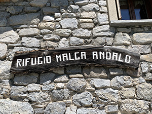 Insegna