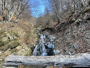 Un torrente che passa sotto alla strada