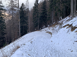 Proseguendo verso l'Alpe Chiarino