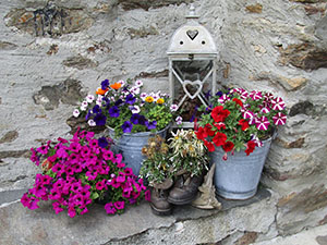 Fiori