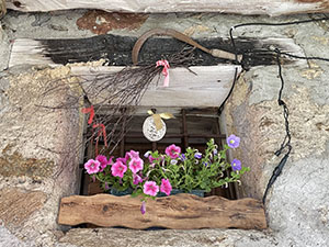 Fiori