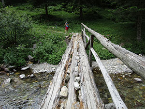 Il ponticello in localit P dArtiin