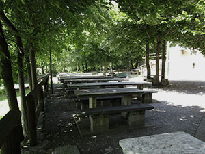 Tavoli sotto gli alberi