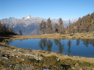Il Laghetto delle Zocche