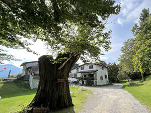 Il ristorante da Gusto