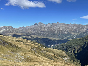 Panorama
