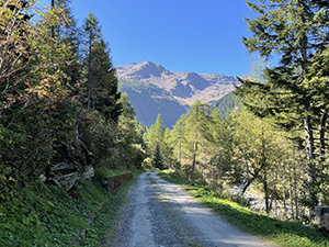 Sulla sterrata. Davanti vediamo il Monte Bardan.