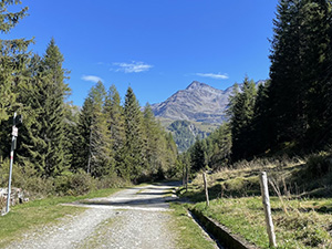 Sulla sterrata. Dietro vediamo il Pizzo Emet