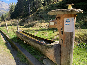 Fontana