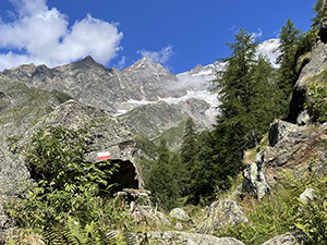 Panorama dal sentiero