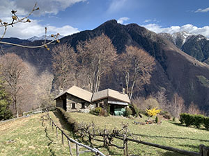 Localit Larice