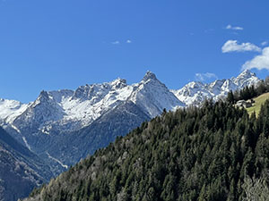 Panorama