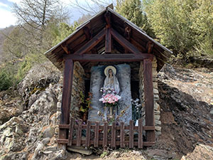 La Madonna della Larice