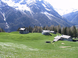 Alcune baite nei pressi del Rifugio Barchi