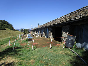 Alpe Agrogno